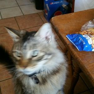 Meet your Posher, Bradley